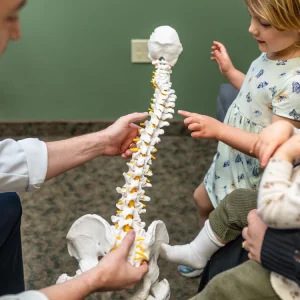 About Chiropractic Office 2